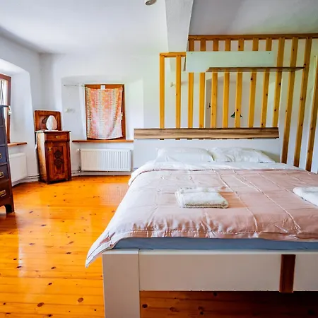 Vintage House Tomazin 度假居